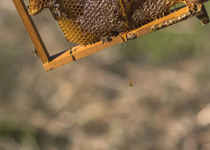 Sperveri Boutique Rhodes City