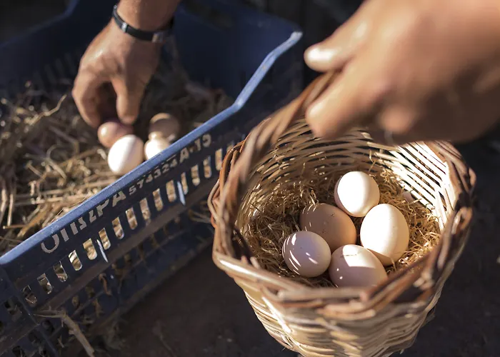 Sperveri Boutique Rhodes City