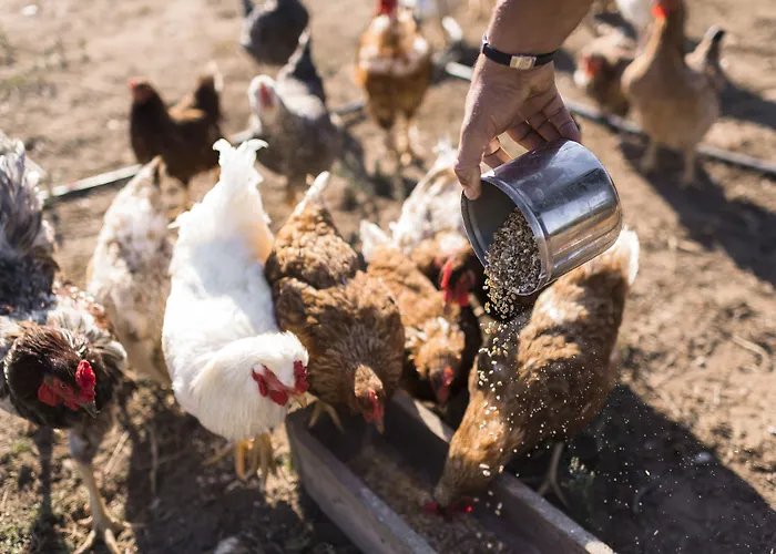 Sperveri Boutique Otel