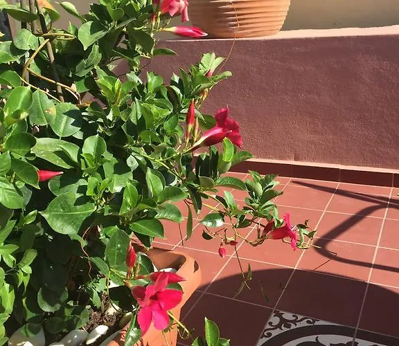 Sperveri Boutique Rhodes City