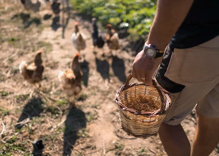 Otel Sperveri Boutique 4*