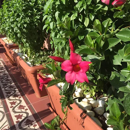Sperveri Boutique Hotel Rhodes City