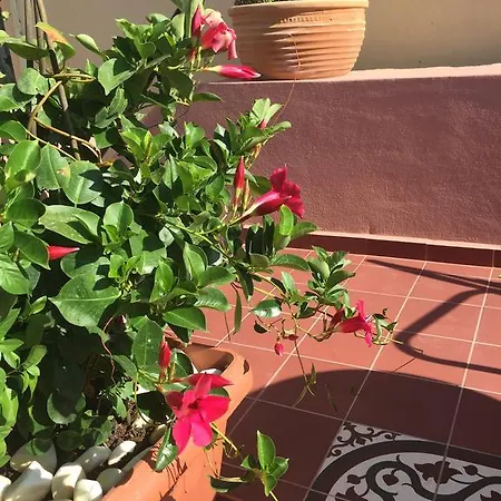 Sperveri Boutique Rhodes City