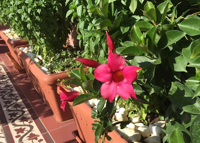 Sperveri Boutique Hotel Rhodes City