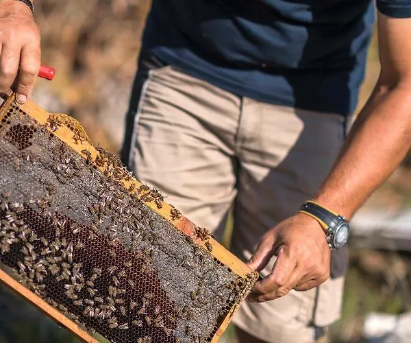 Sperveri Boutique 4* Родос