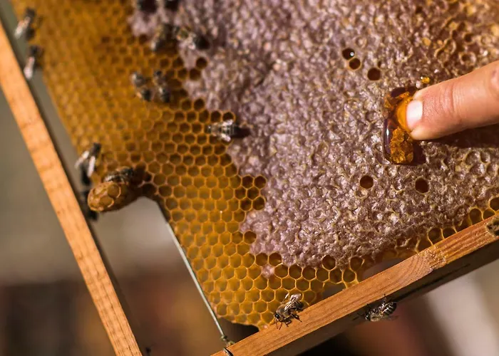 Sperveri Boutique 4* Родос