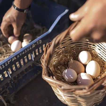 Sperveri Boutique Rhodes City