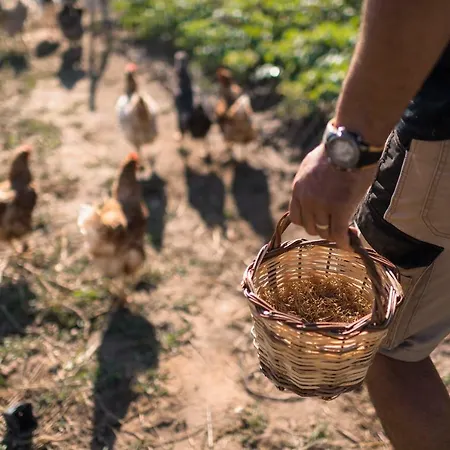 Hotel Sperveri Boutique 4*